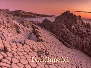 Davidhmodel