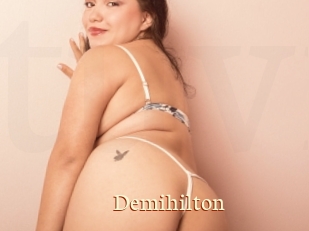 Demihilton