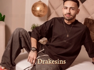 Drakesins