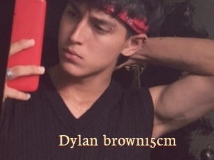 Dylan_brown15cm