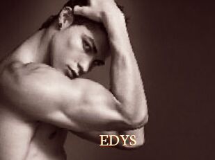 EDYS