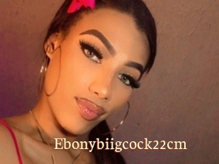 Ebonybiigcock22cm