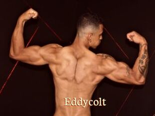 Eddycolt