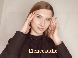 Elenecaudle