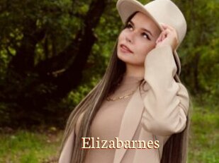 Elizabarnes