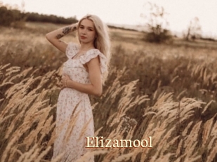 Elizamool