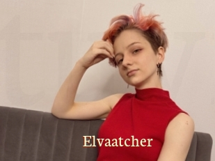 Elvaatcher