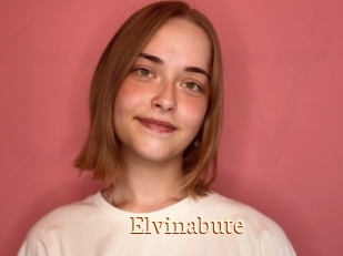 Elvinabute