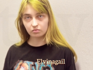 Elvinagail