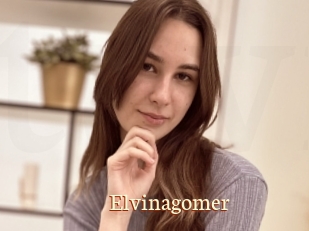 Elvinagomer