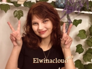 Elwinacloud