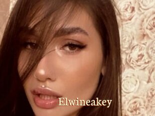 Elwineakey