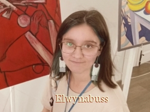 Elwynabuss