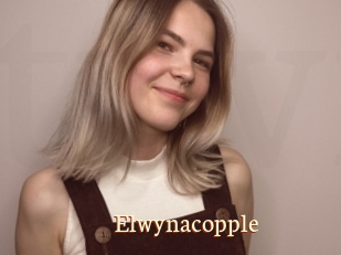 Elwynacopple