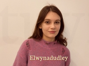 Elwynadudley