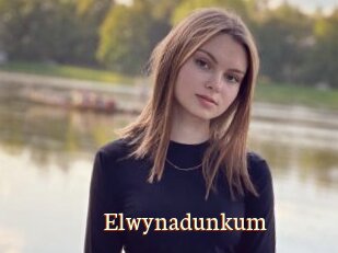 Elwynadunkum