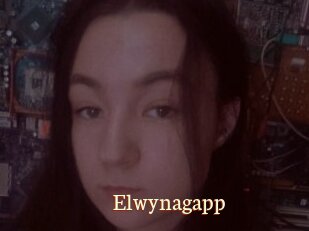 Elwynagapp