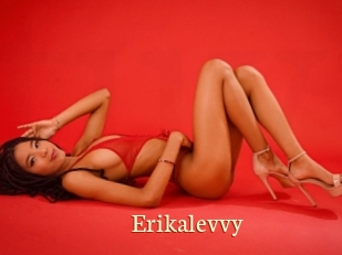 Erikalevvy