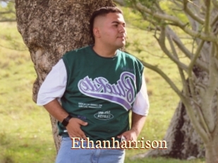 Ethanharrison