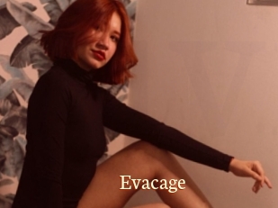 Evacage