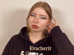 Evacherit