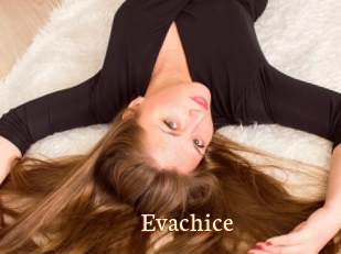 Evachice