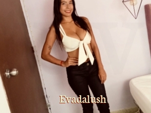 Evadalush