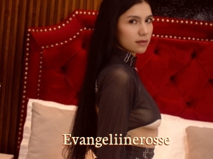 Evangeliinerosse