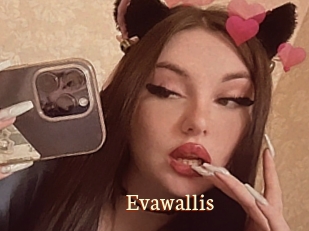 Evawallis