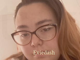 Eviedash