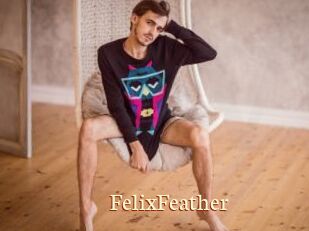 FelixFeather