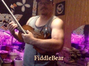 FiddleBear