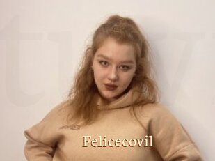 Felicecovil