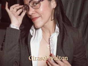 Girasol_walton