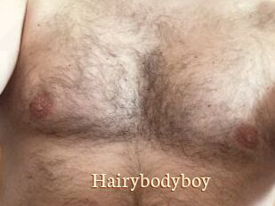 Hairybodyboy