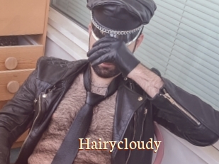 Hairycloudy