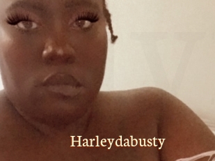 Harleydabusty