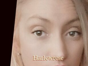 Harlowrose