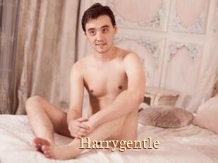 Harrygentle