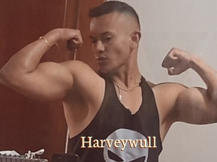 Harveywull