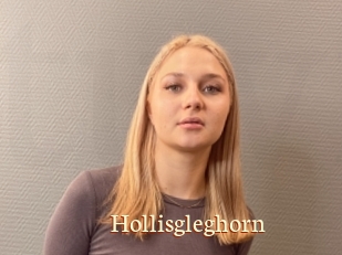 Hollisgleghorn