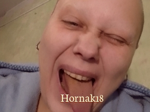 Hornak18