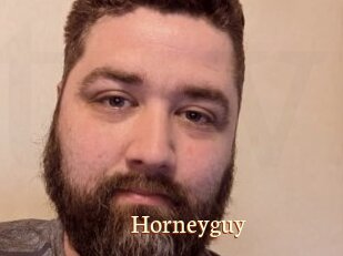 Horneyguy