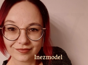 Inezmodel