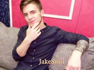 JakeSulii