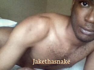 Jake_tha_snake