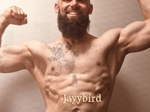 Jayybird