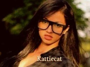 Kattiecat