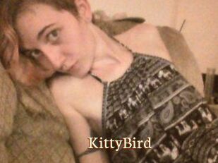 KittyBird