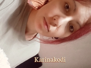 Karinakodi